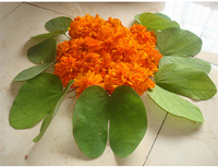 Dussehra in 2019 will be celebrated on October 22.